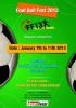 Events in Bangalore - Bangalore Schools FF13 - Football Fest from 7 to 11 January 2013 at Dream Sports Fields Inorbit Mall Whitefield