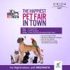 Finally your pets get to have some fun at the mall too! Bring your pets to the Orion Pet Fiesta, only at the Orion East Mall on 2nd April 2017. 